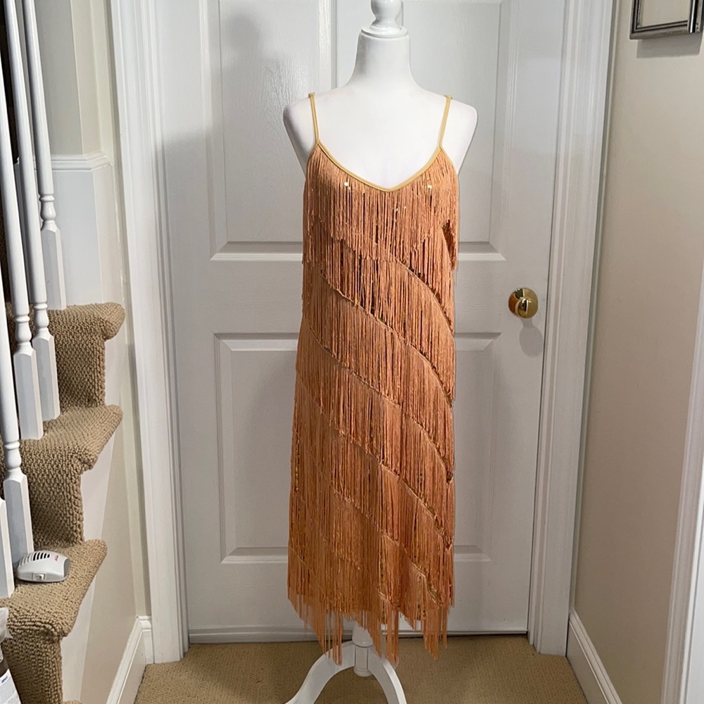 Flapper style dress. Fringe with layer of sequins underneath. Stretch mesh lined
